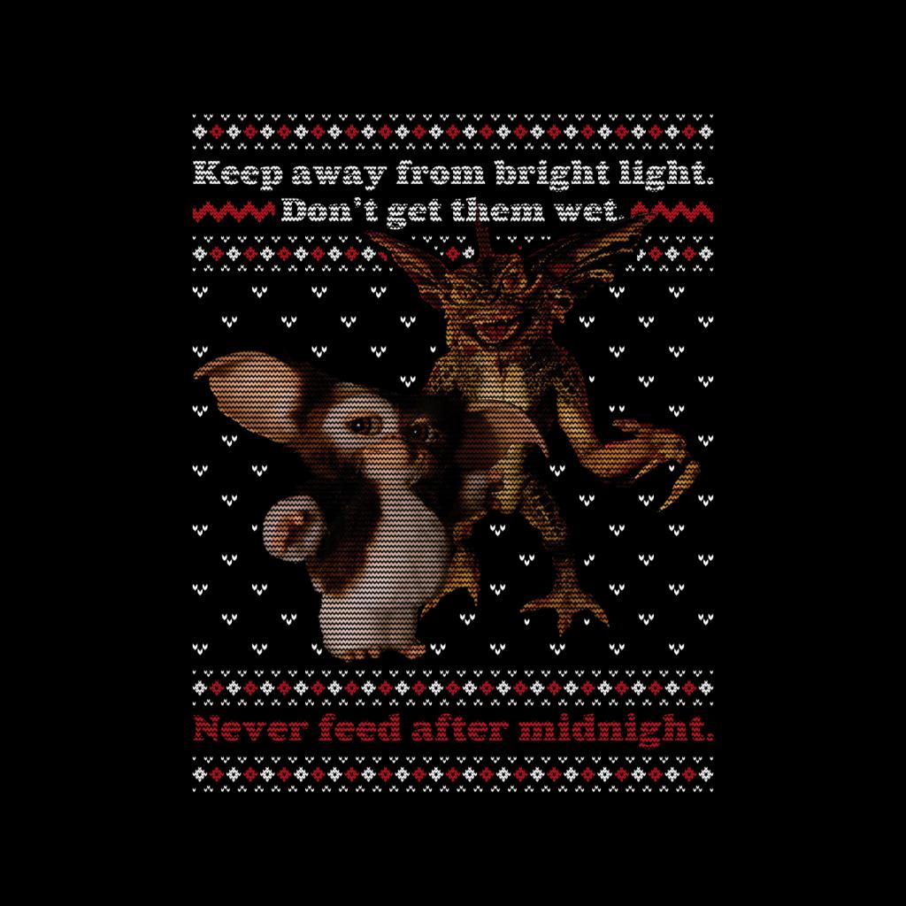 Gremlins Christmas Gizmo And Stripe Never Feed After product image 2
