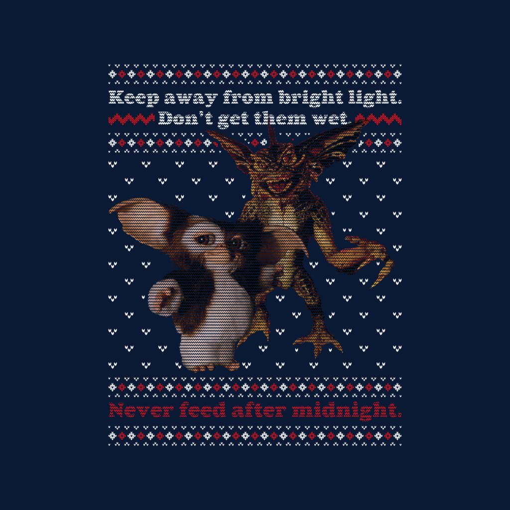 Gremlins Christmas Gizmo And Stripe Never Feed After product image 5