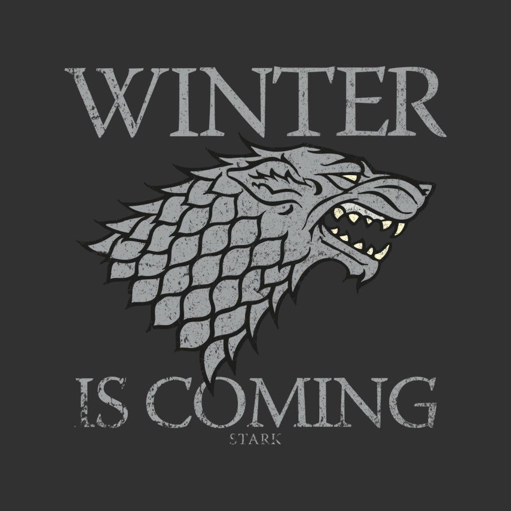 Game Of Thrones House Stark Winter Is Coming Women's T-Shirt product image 2