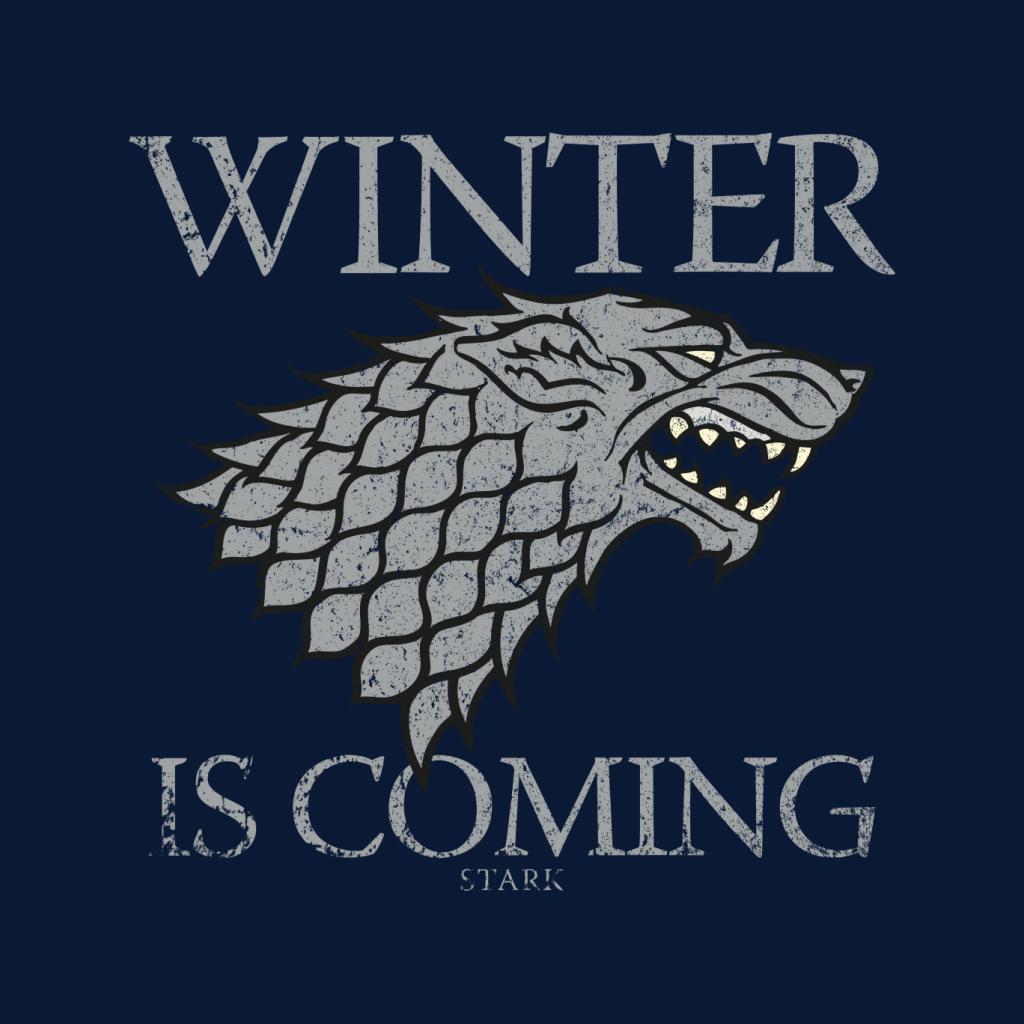 Game Of Thrones House Stark Winter Is Coming Women's product image 5