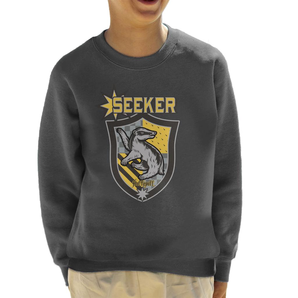 Harry Potter Quidditch Team Hufflepuff Seeker Kid's product image 1