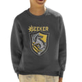 Harry Potter Quidditch Team Hufflepuff Seeker Kid's product image 1