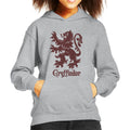 Harry Potter Quidditch Gryffindor Team Badge Kid's Hooded product image 1