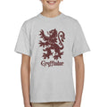 Harry Potter Quidditch Gryffindor Team Badge Kid's T-Shirt product image 1