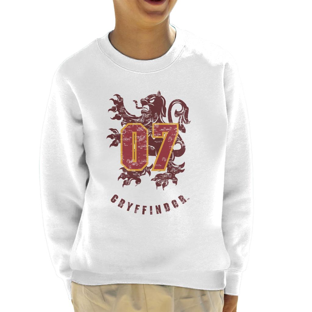 Harry Potter Quidditch Gryffindor 07 Team Badge Kid's product image 4
