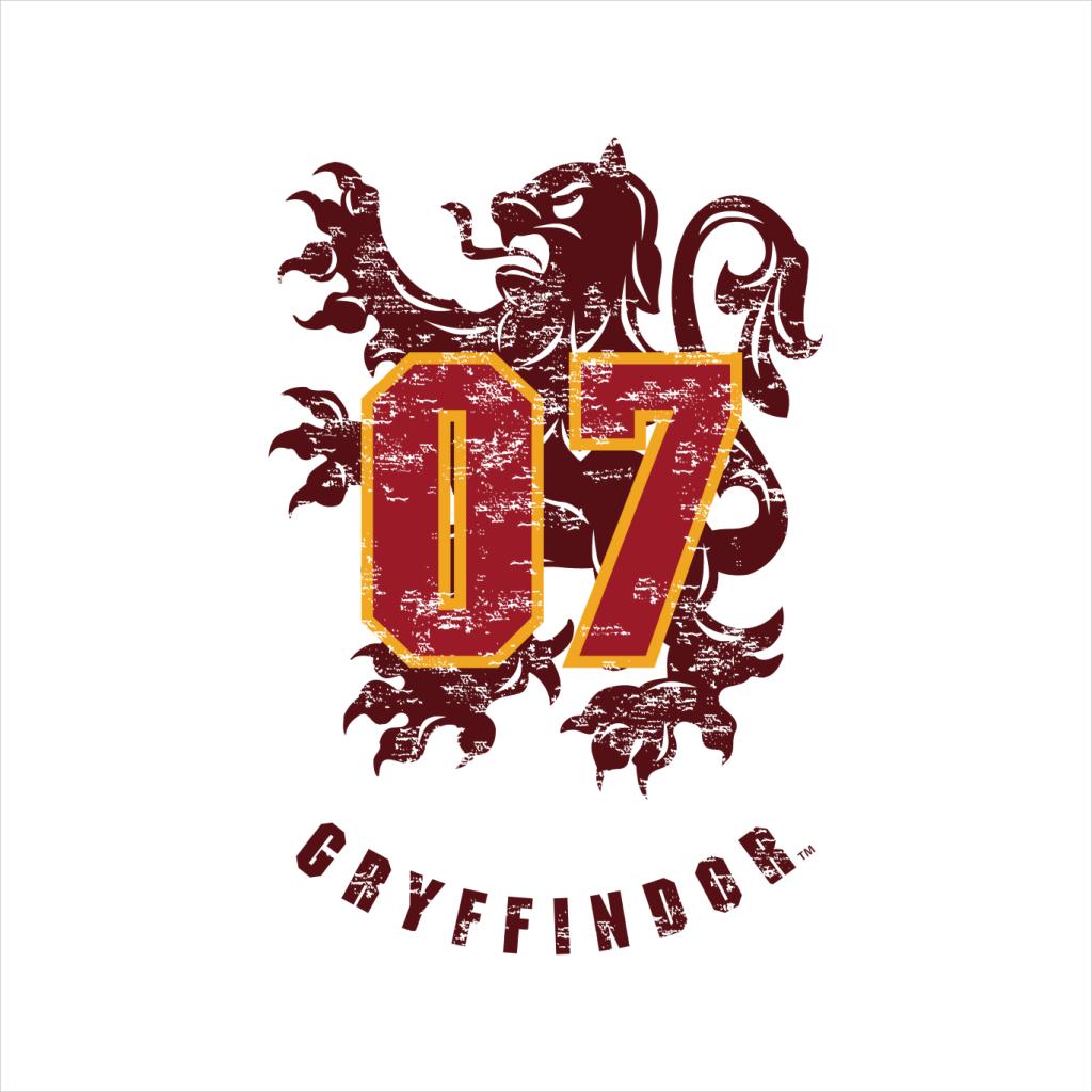 Harry Potter Quidditch Gryffindor 07 Team Badge Women's product image 5