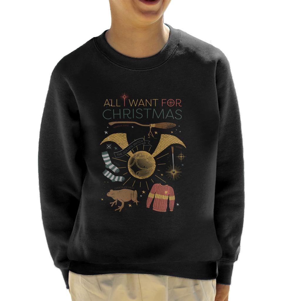 Harry Potter Christmas All I Want Is Kid's Sweatshirt product image 1
