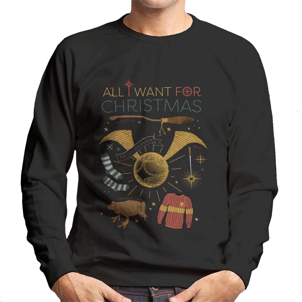 Harry Potter Christmas All I Want Is Men's Sweatshirt product image 1