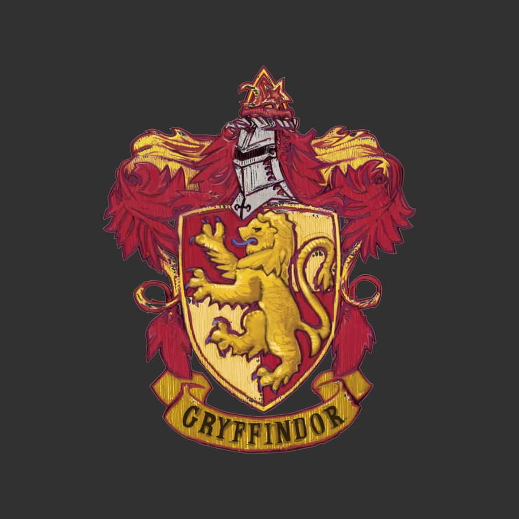 Harry Potter Gryffindor House Crest Kid's Sweatshirt product image 5