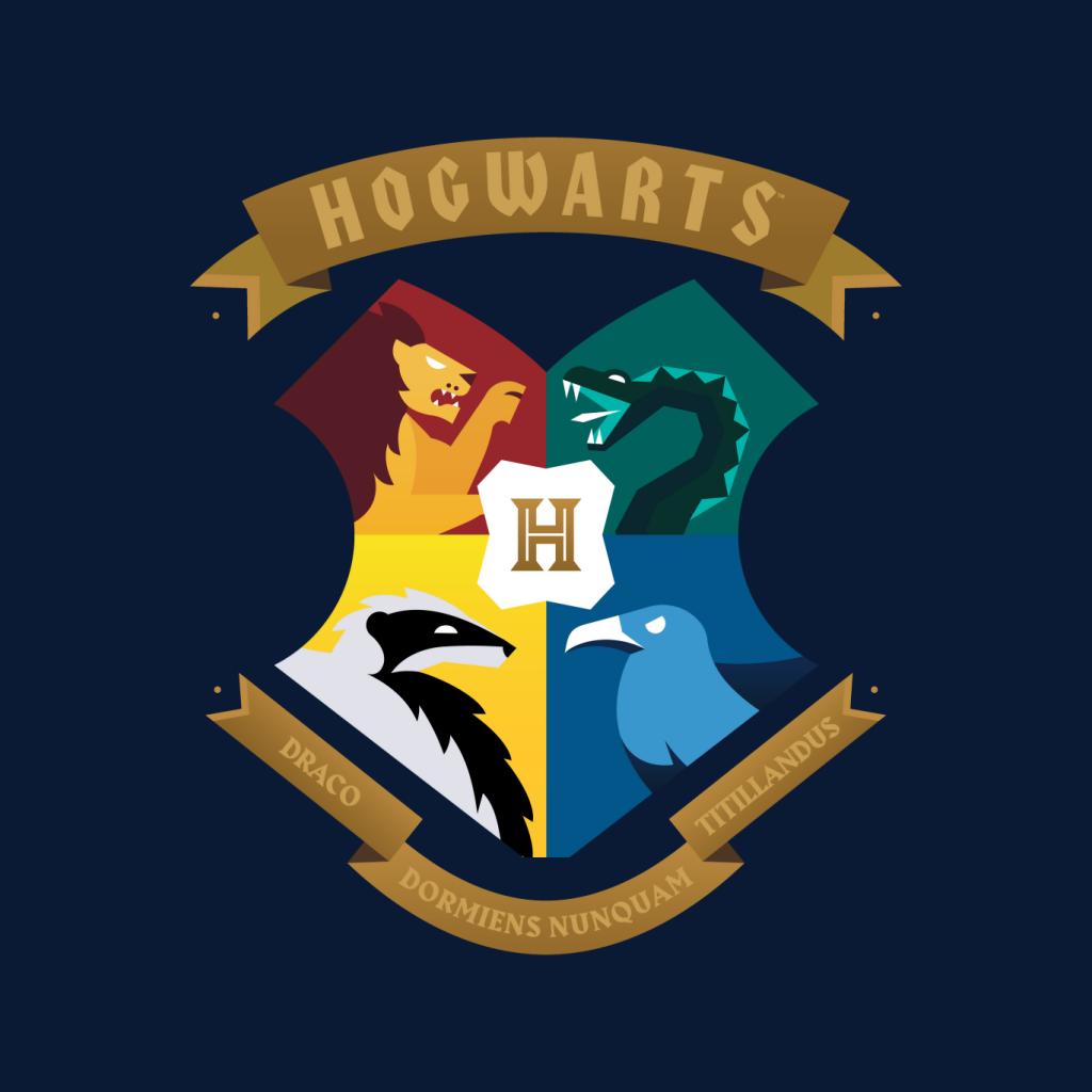 Harry Potter All Hogwarts School Shield Men's Hooded product image 7