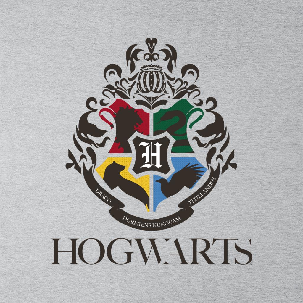 Harry Potter Hogwarts All Houses Crest Kid's Hooded product image 2