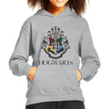 Harry Potter Hogwarts All Houses Crest Kid's Hooded product image 1