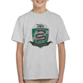 Harry Potter Slytherin Quidditch Distressed Shield Kid's product image 1