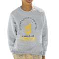 Harry Potter Hufflepuff Quidditch Seeker Kid's Sweatshirt product image 1